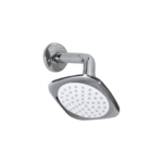 REGADERA CON BRAZO Y CHAPETÓN