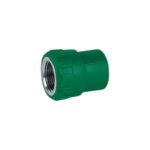 Conector hembra Inserto de bronce PPR Verde